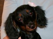 nickidal profile photo