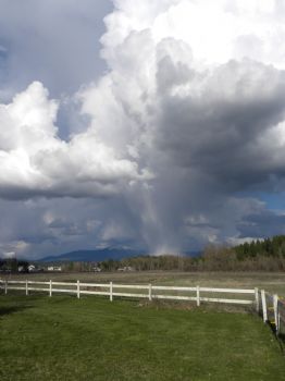 Kat4629 profile photo