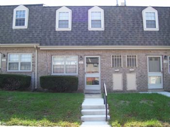 LondonOrchid profile photo