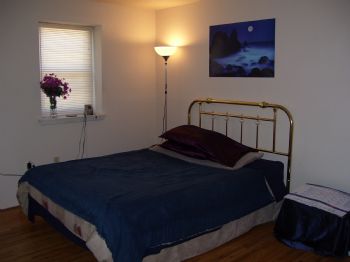 LondonOrchid profile photo