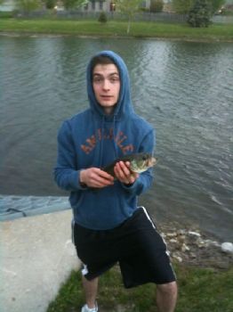 roveda profile photo