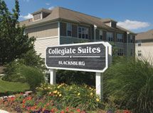 kswedo profile photo