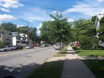 deckerave profile photo