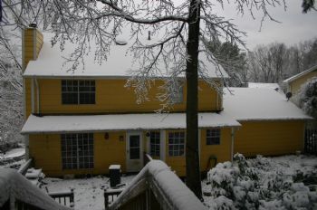 Anubias profile photo