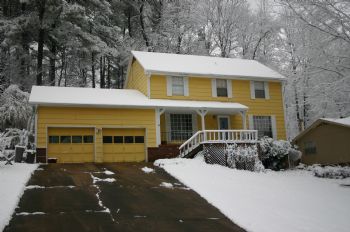 Anubias profile photo