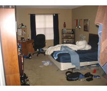 mercurad profile photo