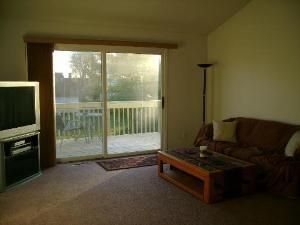 dzekester profile photo