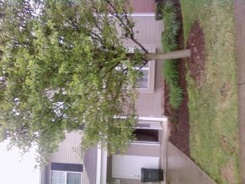 katcasey profile photo