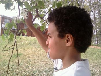 hayward profile photo