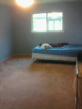 dangio8687 profile photo