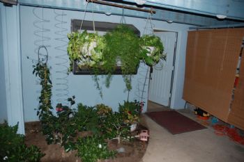 warrenk profile photo