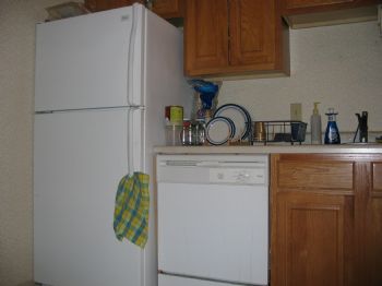 yatin_kanak profile photo