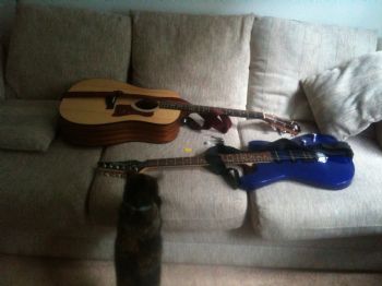 Jeisikah profile photo