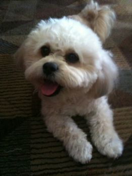 bmestiza profile photo