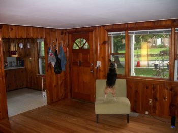 11klc11 profile photo