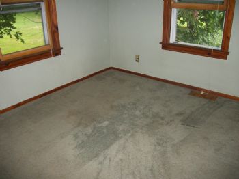 11klc11 profile photo