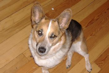 11klc11 profile photo