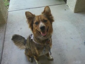 CheriandVan profile photo