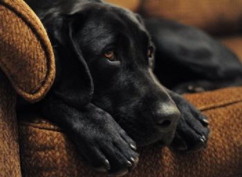 CheriandVan profile photo