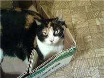 katnkitchen profile photo