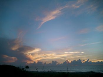 Beachview profile photo