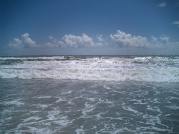 Beachview profile photo