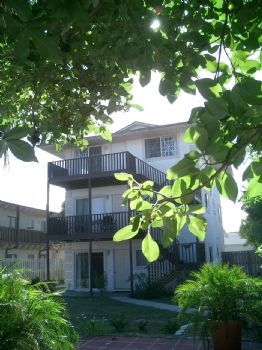 Beachview profile photo