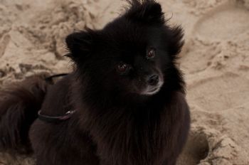 karebear1 profile photo