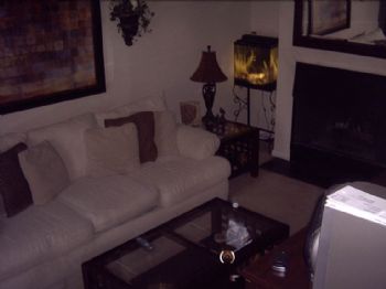 neardowntown profile photo