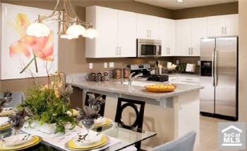 ANI404040 profile photo