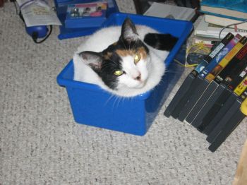 Caryne profile photo