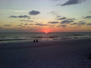 srothrock profile photo