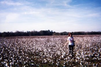 Lindsey3290 profile photo