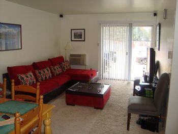 jamiees profile photo