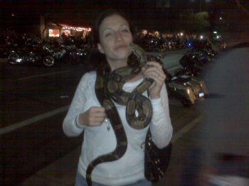 bigafropuff2 profile photo