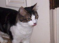 alicia4h profile photo