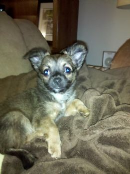 amyblakely1 profile photo