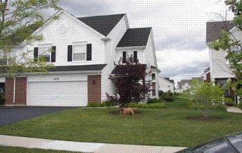 lberendt profile photo