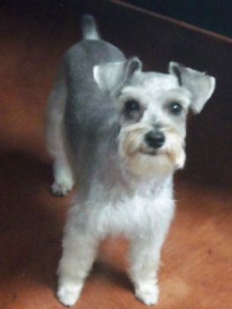 GuruAngie profile photo