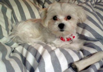 jessicawcren profile photo