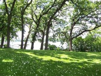 gbhenry profile photo