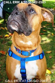 Erik1366 profile photo