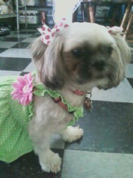 kimberly7887 profile photo