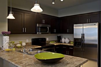 ibravox profile photo