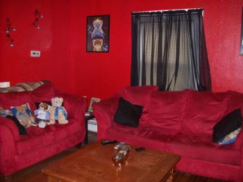 estenstreet profile photo