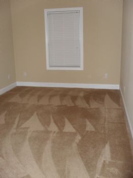 GoldenSis75 profile photo