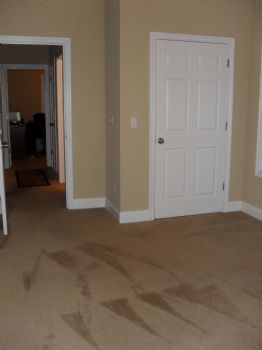 GoldenSis75 profile photo