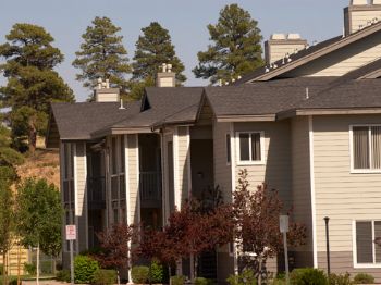 TatumParker profile photo