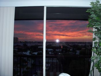 dryarman profile photo