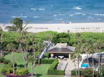 dryarman profile photo